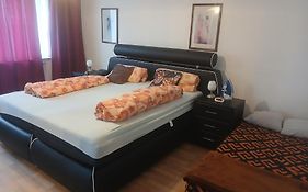 Luxury Apartment With Nice Interior Look For Guest